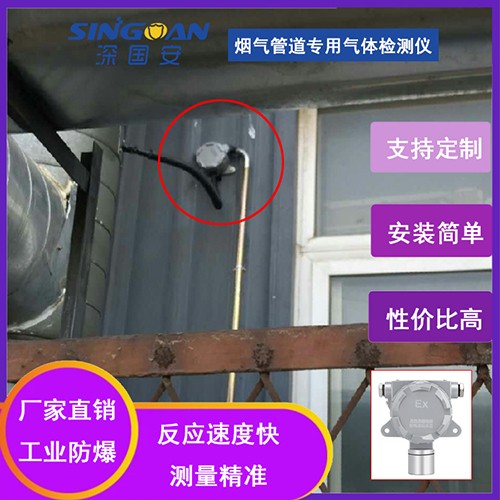 煙氣管道專用氣體檢測(cè)儀